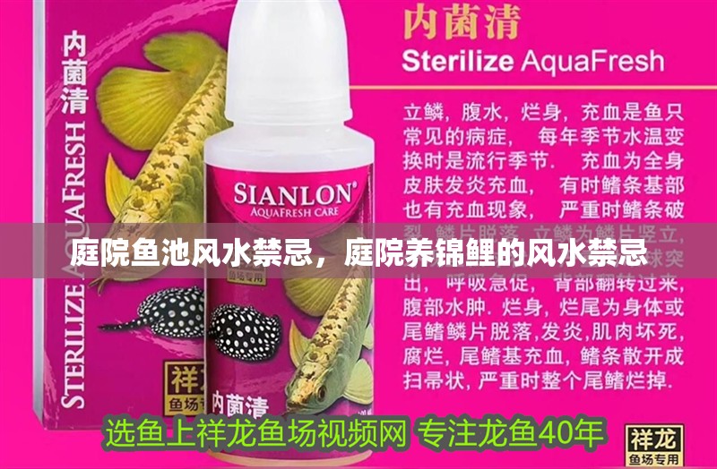 庭院魚池風水禁忌，庭院養錦鯉的風水禁忌