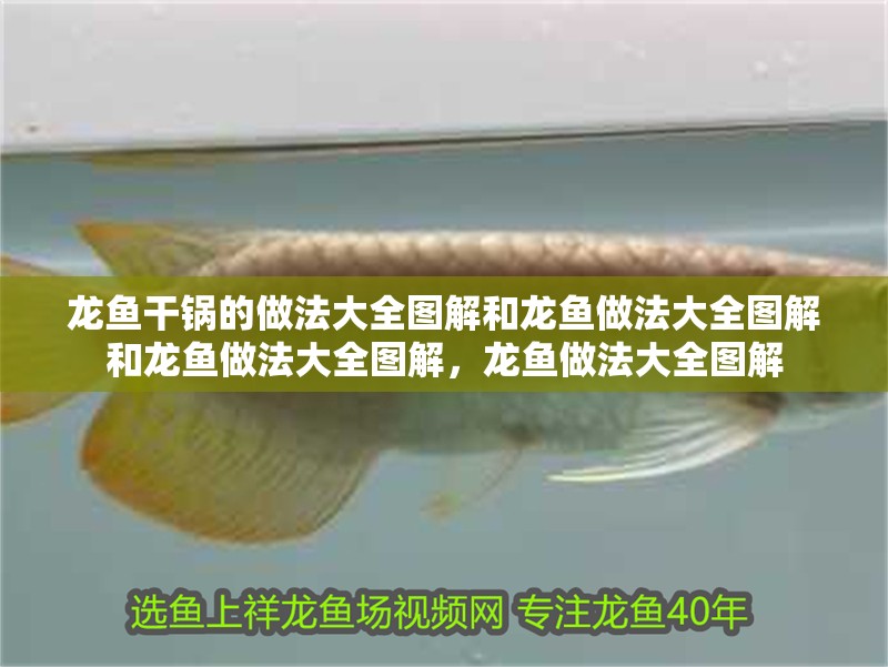 龍魚干鍋的做法大全圖解和龍魚做法大全圖解和龍魚做法大全圖解，龍魚做法大全圖解