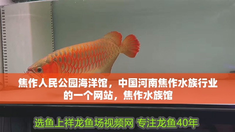 焦作人民公園海洋館，中國(guó)河南焦作水族行業(yè)的一個(gè)網(wǎng)站，焦作水族館