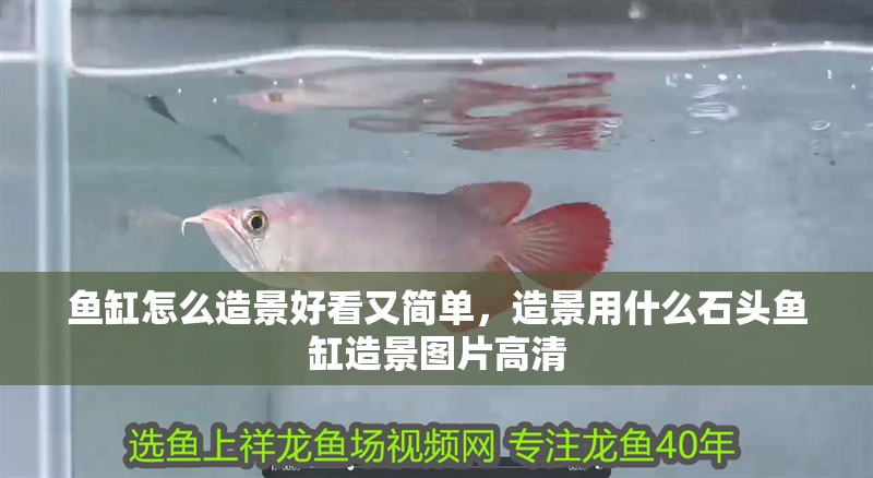 魚缸怎么造景好看又簡單，造景用什么石頭魚缸造景圖片高清