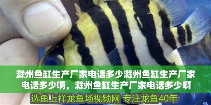 滁州魚缸生產廠家電話多少滁州魚缸生產廠家電話多少啊，滁州魚缸生產廠家電話多少啊 滁州魚缸生產廠家電話多少滁州魚缸生產廠家電話多少啊，滁州魚缸生產廠家電話多少啊 觀賞魚百科