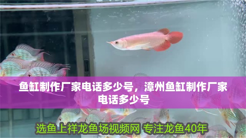 魚缸制作廠家電話多少號，漳州魚缸制作廠家電話多少號