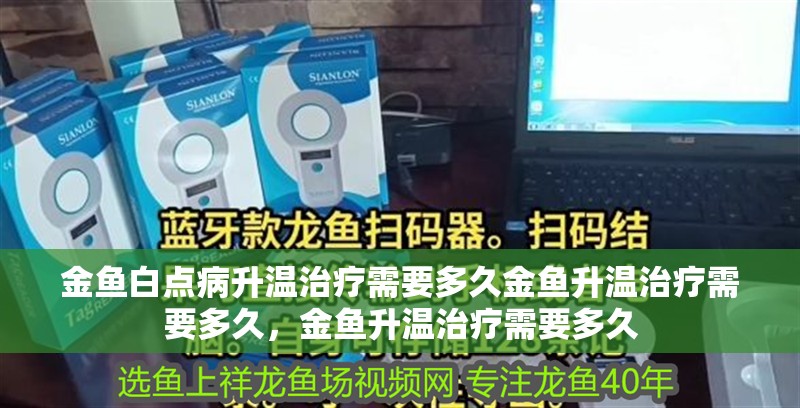 金魚白點病升溫治療需要多久金魚升溫治療需要多久，金魚升溫治療需要多久