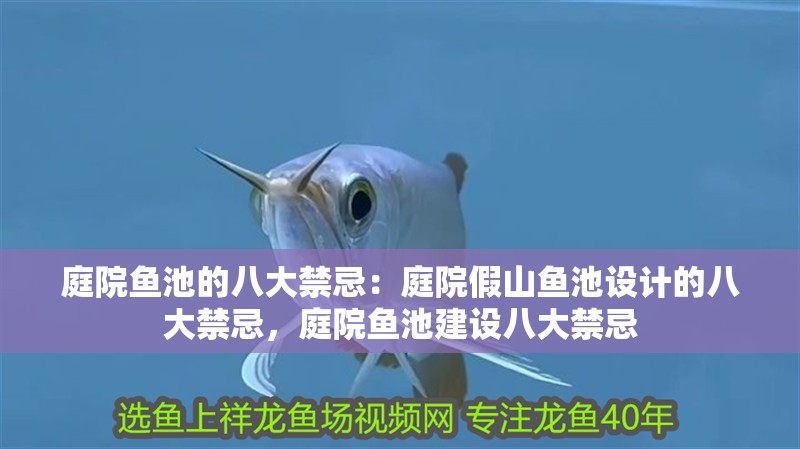 庭院魚(yú)池的八大禁忌：庭院假山魚(yú)池設(shè)計(jì)的八大禁忌，庭院魚(yú)池建設(shè)八大禁忌 庭院魚(yú)池的八大禁忌：庭院假山魚(yú)池設(shè)計(jì)的八大禁忌，庭院魚(yú)池建設(shè)八大禁忌 觀賞魚(yú)百科