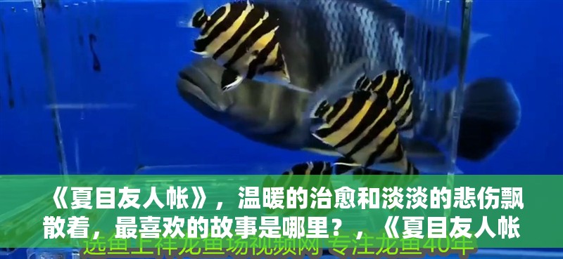 《夏目友人帳》，溫暖的治愈和淡淡的悲傷飄散著，最喜歡的故事是哪里？，《夏目友人帳》第一季度最后一集和田魚池建設最后一集