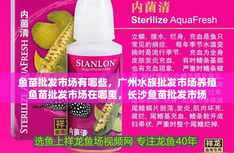 魚苗批發市場有哪些，廣州水族批發市場養殖魚苗批發市場在哪里，長沙魚苗批發市場