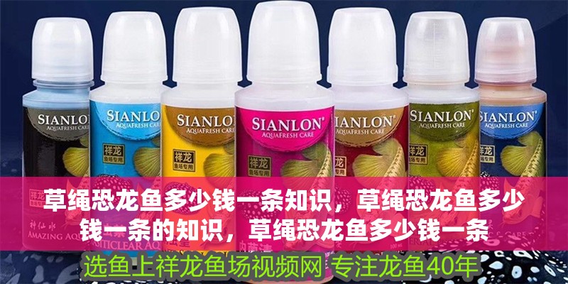 草繩恐龍魚多少錢一條知識，草繩恐龍魚多少錢一條的知識，草繩恐龍魚多少錢一條