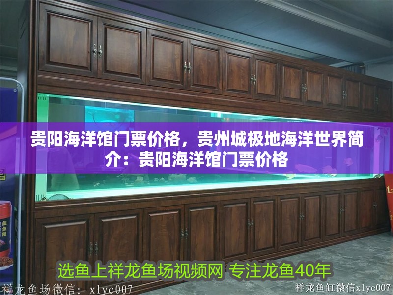貴陽海洋館門票價格，貴州城極地海洋世界簡介：貴陽海洋館門票價格