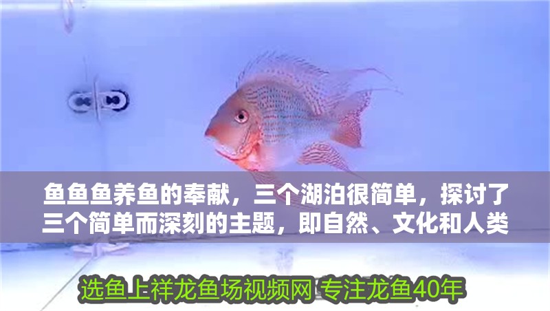 魚魚魚養魚的奉獻，三個湖泊很簡單，探討了三個簡單而深刻的主題，即自然、文化和人類行為