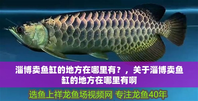 淄博賣魚缸的地方在哪里有？，關于淄博賣魚缸的地方在哪里有啊 淄博賣魚缸的地方在哪里有？，關于淄博賣魚缸的地方在哪里有啊 觀賞魚百科 第2張