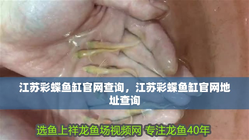 江蘇彩蝶魚缸官網查詢，江蘇彩蝶魚缸官網地址查詢