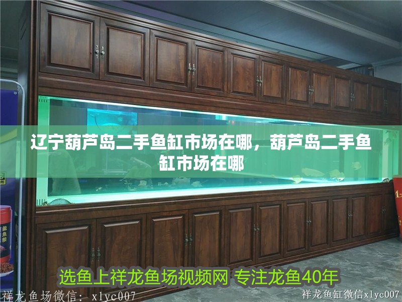 遼寧葫蘆島二手魚缸市場在哪，葫蘆島二手魚缸市場在哪