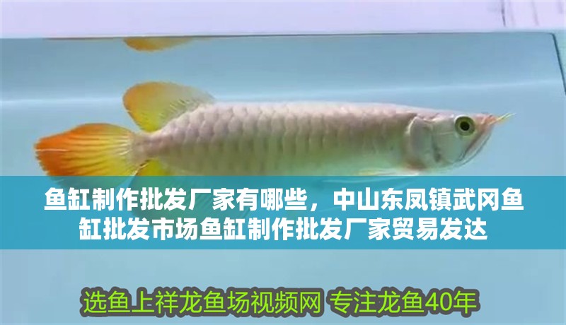 魚缸制作批發廠家有哪些,中山東鳳鎮武岡魚缸批發市場魚缸制作批發廠家貿易發達 觀賞魚百科 第2張 魚缸制作批發廠家有哪些,中山東鳳鎮武岡魚缸批發市場魚缸制作批發廠家貿易發達 魚缸制作批發廠家有哪些,中山東鳳鎮武岡魚缸批發市場魚缸制作批發廠家貿易發達 觀賞魚百科 第2張