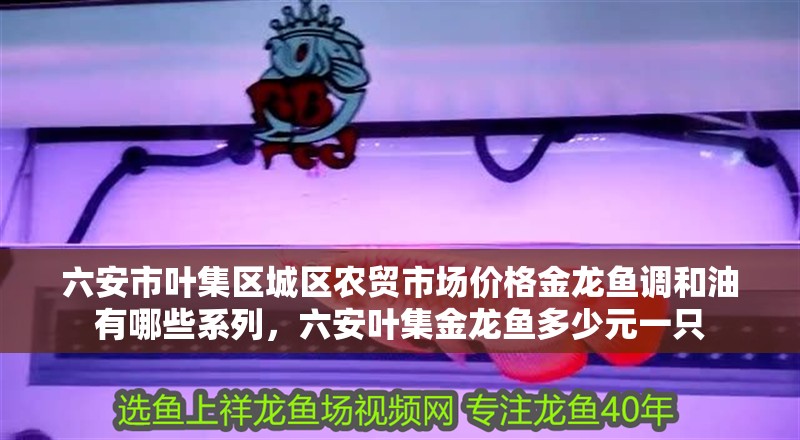 六安市葉集區城區農貿市場價格金龍魚調和油有哪些系列，六安葉集金龍魚多少元一只