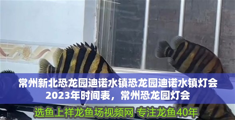 常州新北恐龍園迪諾水鎮(zhèn)恐龍園迪諾水鎮(zhèn)燈會2023年時間表，常州恐龍園燈會