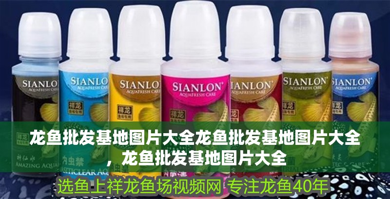 龍魚批發基地圖片大全龍魚批發基地圖片大全，龍魚批發基地圖片大全