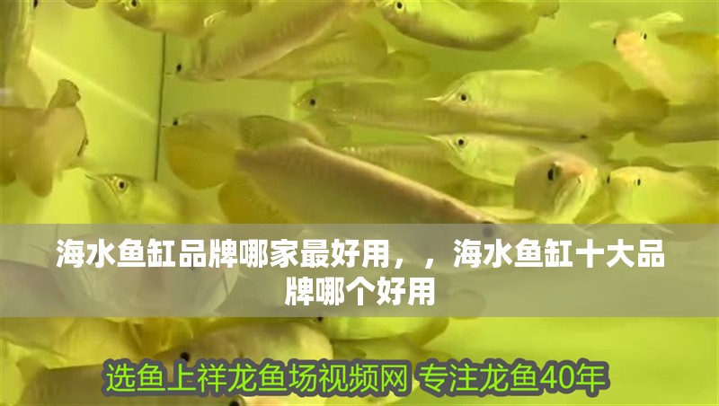 海水魚缸品牌哪家最好用，，海水魚缸十大品牌哪個好用