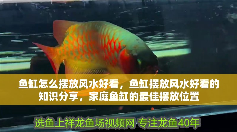 魚缸怎么擺放風水好看，魚缸擺放風水好看的知識分享，家庭魚缸的最佳擺放位置