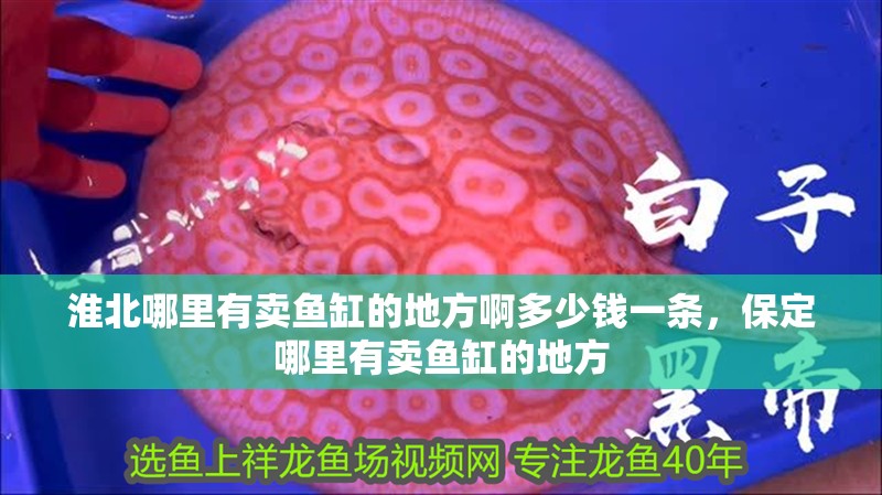 <strong><mark>淮北</mark></strong>哪里有賣魚缸的地方啊多少錢一條，保定哪里有賣魚缸的地方