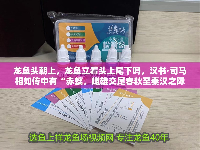 龍魚頭朝上，龍魚立著頭上尾下嗎，漢書·司馬相如傳中有“赤螭，雌雄交尾春秋至秦漢之際”