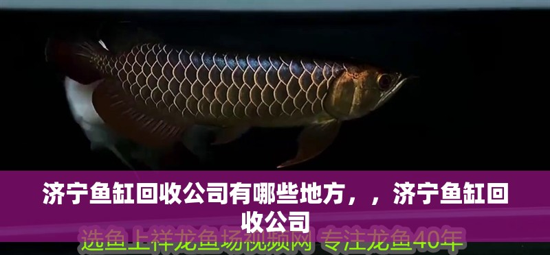 濟寧魚缸回收公司有哪些地方，，濟寧魚缸回收公司