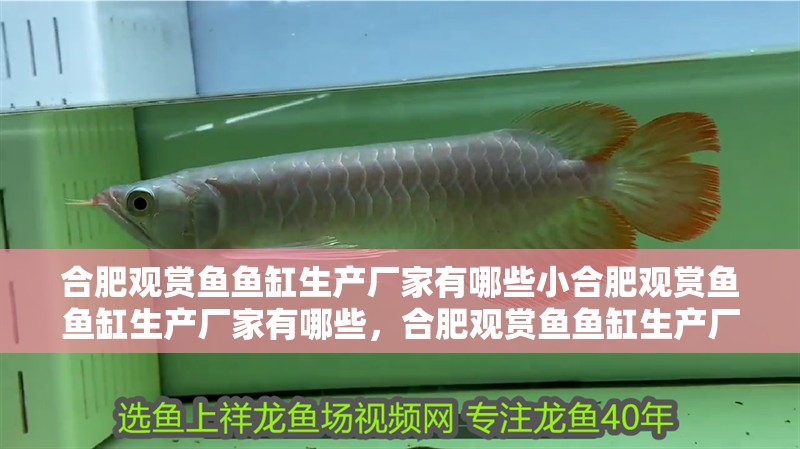 合肥觀賞魚魚缸生產廠家有哪些小合肥觀賞魚魚缸生產廠家有哪些，合肥觀賞魚魚缸生產廠家有哪些