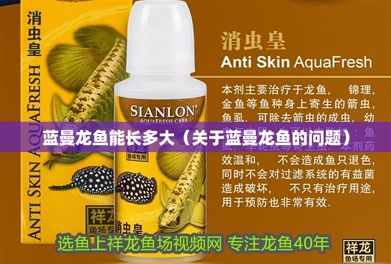 藍曼龍魚能長多大（關于藍曼龍魚的問題）
