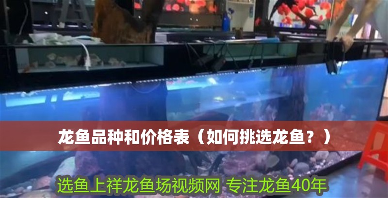龍魚品種和價格表（如何挑選龍魚？）
