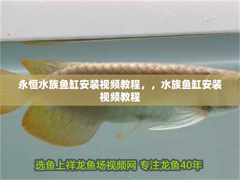 永恒水族魚缸安裝視頻教程，，水族魚缸安裝視頻教程