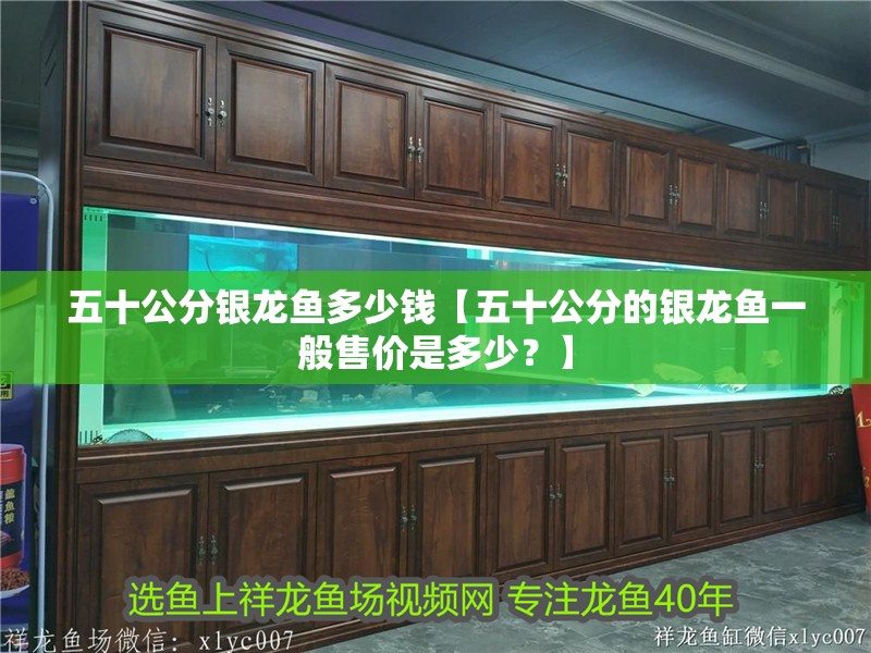 五十公分銀龍魚多少錢【五十公分的銀龍魚一般售價是多少？】
