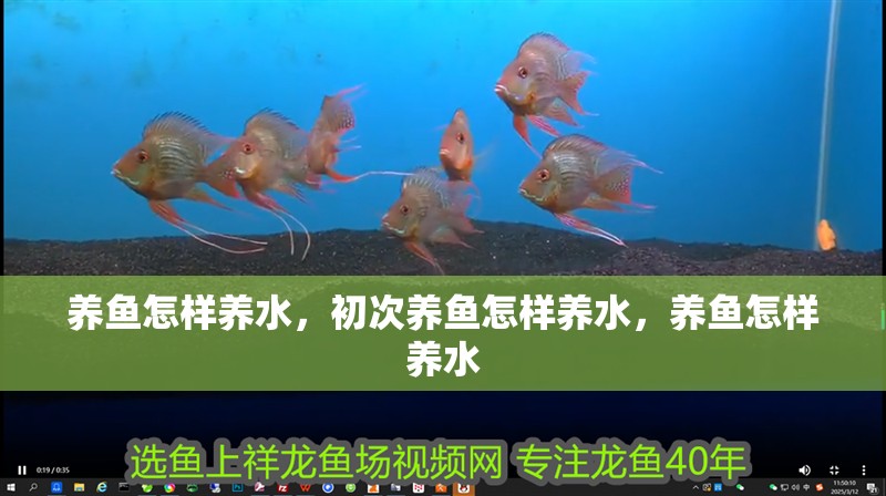 養魚怎樣養水，初次養魚怎樣養水，養魚怎樣養水