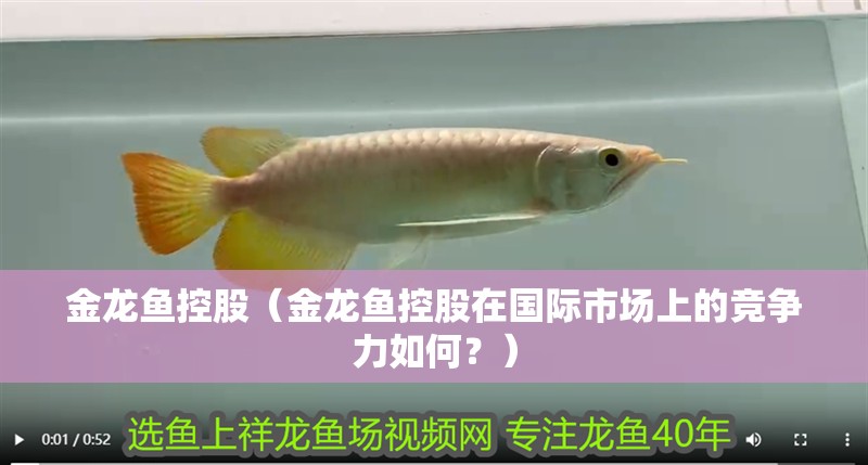 金龍魚控股（金龍魚控股在國際市場上的競爭力如何？）