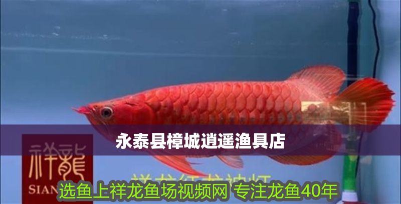 永泰縣樟城逍遙漁具店