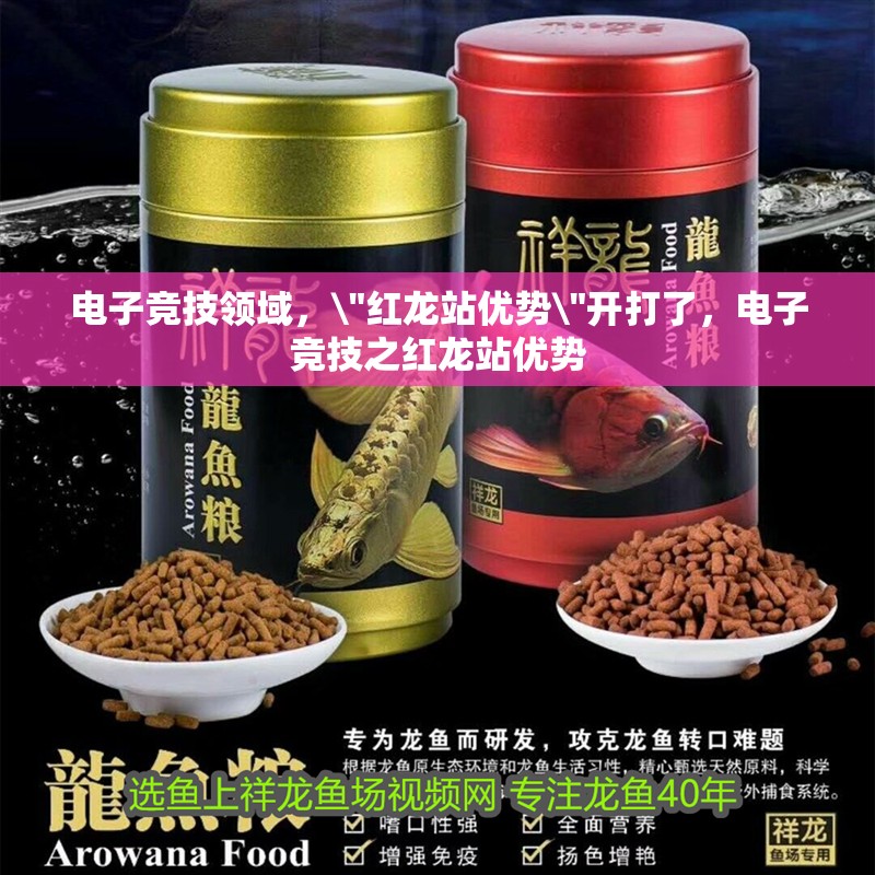 電子競技領(lǐng)域，\