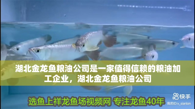 湖北金龍魚糧油公司是一家值得信賴的糧油加工企業,湖北金龍魚糧油公司 觀賞魚百科 第2張 湖北金龍魚糧油公司是一家值得信賴的糧油加工企業,湖北金龍魚糧油公司 湖北金龍魚糧油公司是一家值得信賴的糧油加工企業,湖北金龍魚糧油公司 觀賞魚百科 第2張