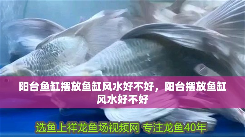陽臺(tái)魚缸擺放魚缸風(fēng)水好不好，陽臺(tái)擺放魚缸風(fēng)水好不好