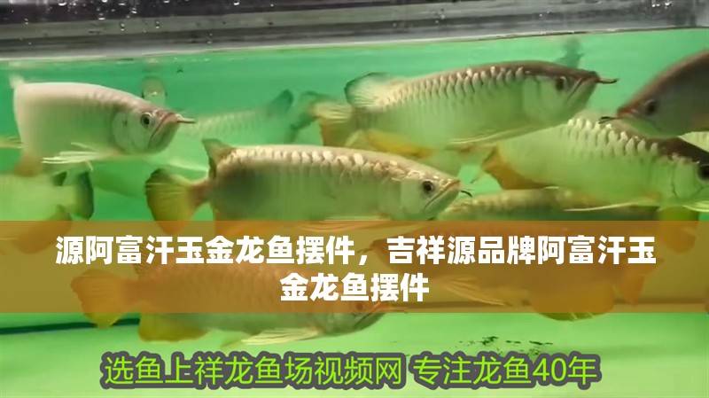 源阿富汗玉金龍魚(yú)擺件，吉祥源品牌阿富汗玉金龍魚(yú)擺件