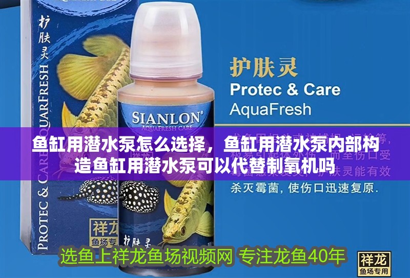 魚缸用潛水泵怎么選擇，魚缸用潛水泵內部構造魚缸用潛水泵可以代替制氧機嗎