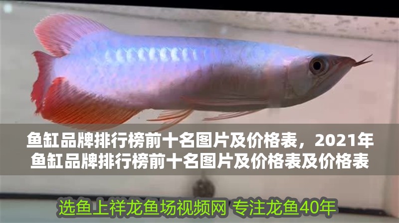 魚缸品牌排行榜前十名圖片及價格表，2021年魚缸品牌排行榜前十名圖片及價格表及價格表
