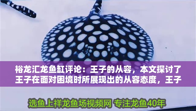 裕龍匯龍魚缸評論：王子的從容，本文探討了王子在面對困境時所展現出的從容態度，王子在面對困境時的從容態度