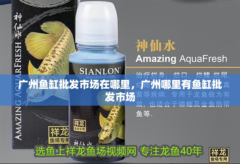 廣州魚缸批發市場在哪里，廣州哪里有魚缸批發市場