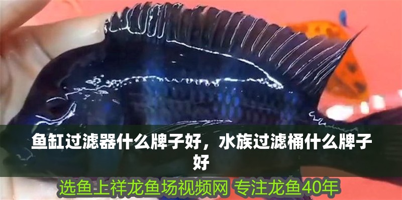 魚缸過濾器什么牌子好，水族過濾桶什么牌子好