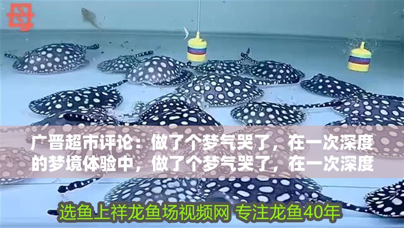 廣晉超市評論：做了個夢氣哭了，在一次深度的夢境體驗中，做了個夢氣哭了，在一次深度的夢境體驗中