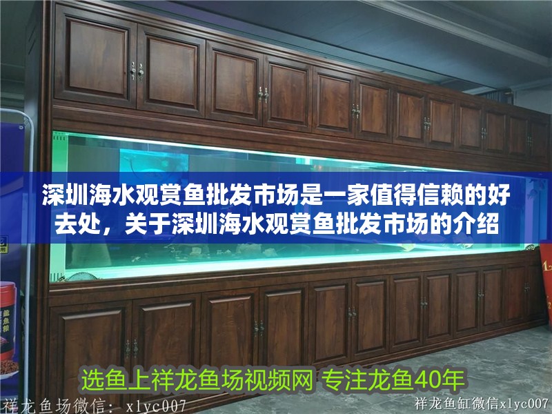 深圳海水觀賞魚批發市場是一家值得信賴的好去處，關于深圳海水觀賞魚批發市場的介紹