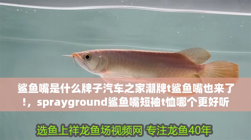 鯊魚嘴是什么牌子汽車之家潮牌t鯊魚嘴也來了!，sprayground鯊魚嘴短袖t恤哪個更好聽