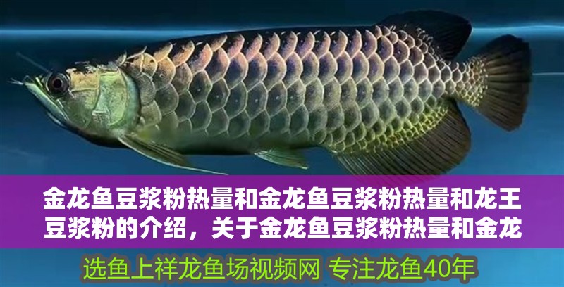 金龍魚豆漿粉熱量和金龍魚豆漿粉熱量和龍王豆漿粉的介紹，關于金龍魚豆漿粉熱量和金龍魚豆漿粉的介紹