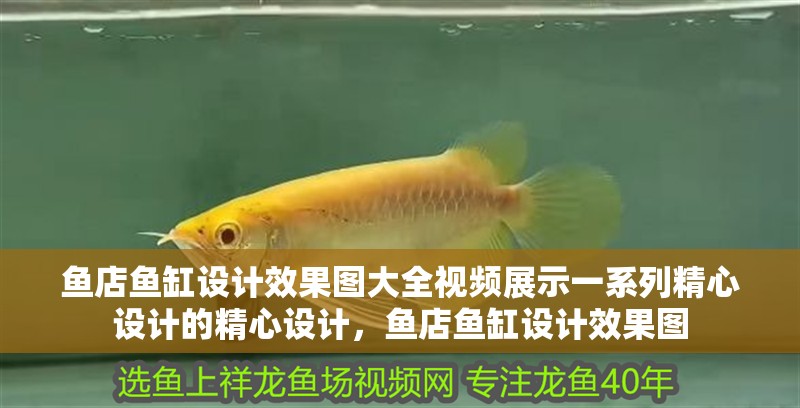 魚店魚缸設計效果圖大全視頻展示一系列精心設計的精心設計，魚店魚缸設計效果圖