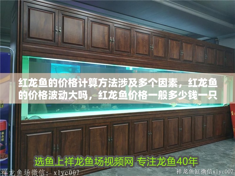 紅龍魚的價格計算方法涉及多個因素，紅龍魚的價格波動大嗎，紅龍魚價格一般多少錢一只？ 紅龍魚的價格計算方法涉及多個因素，紅龍魚的價格波動大嗎，紅龍魚價格一般多少錢一只？ 觀賞魚百科 第7張