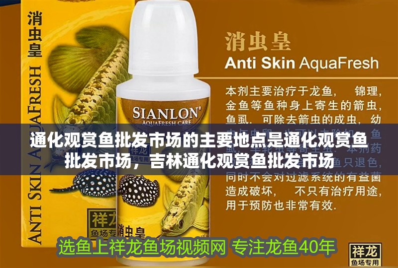 通化觀賞魚批發(fā)市場的主要地點是通化觀賞魚批發(fā)市場，吉林通化觀賞魚批發(fā)市場