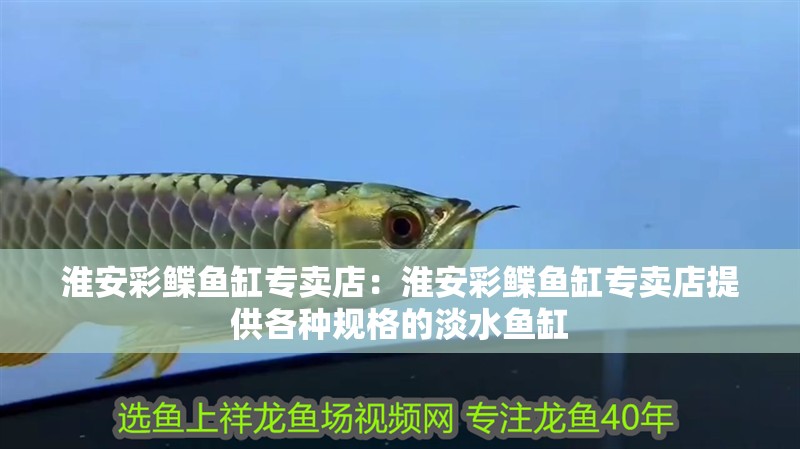 淮安彩鰈魚缸專賣店：淮安彩鰈魚缸專賣店提供各種規格的淡水魚缸